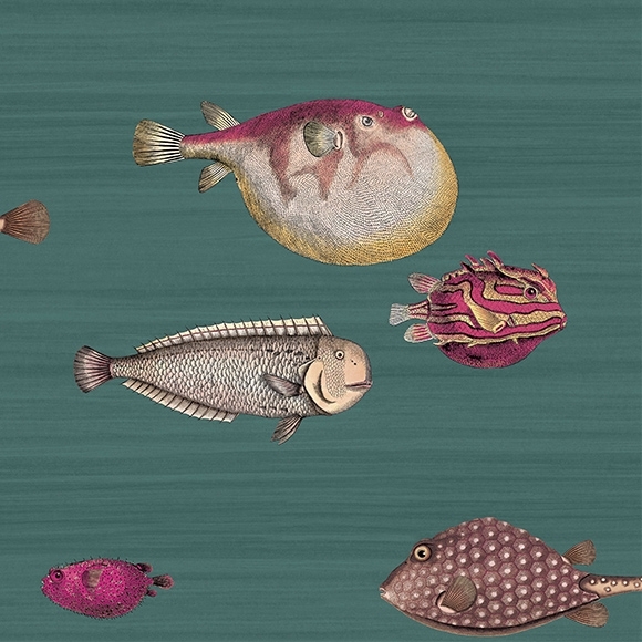 acquario